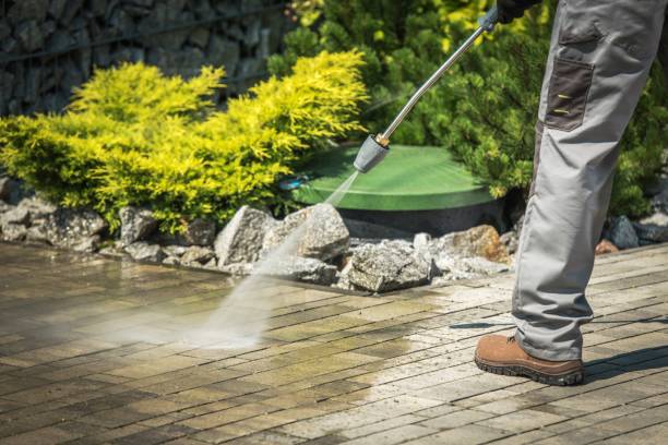 Best Sign and Awning Cleaning  in North Auburn, CA