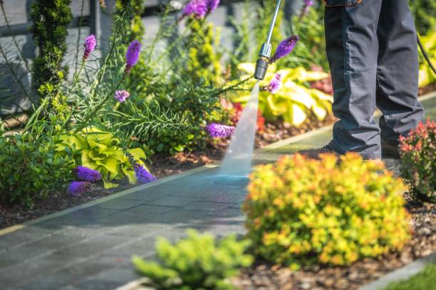 Best Residential House Exterior Washing  in North Auburn, CA